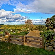 antique-garden-renovation-wood-gate